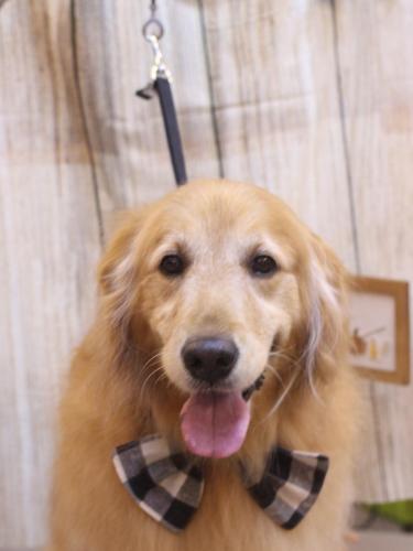 20241018Mickeyちゃん